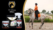 Excellent Horse Hi Gloss Stencils 5 Stück *