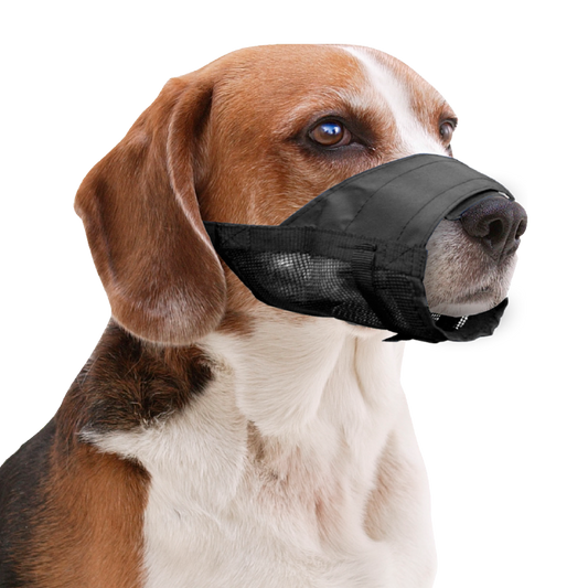 Pawise Adjustable Nylon Muzzle XL *