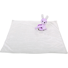 Pawise Puppy Life Blanket With Toy