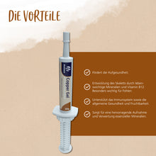 Hestevard Copper Gel – Hochwertige Kupfer- & Zinkversorgung für Pferde