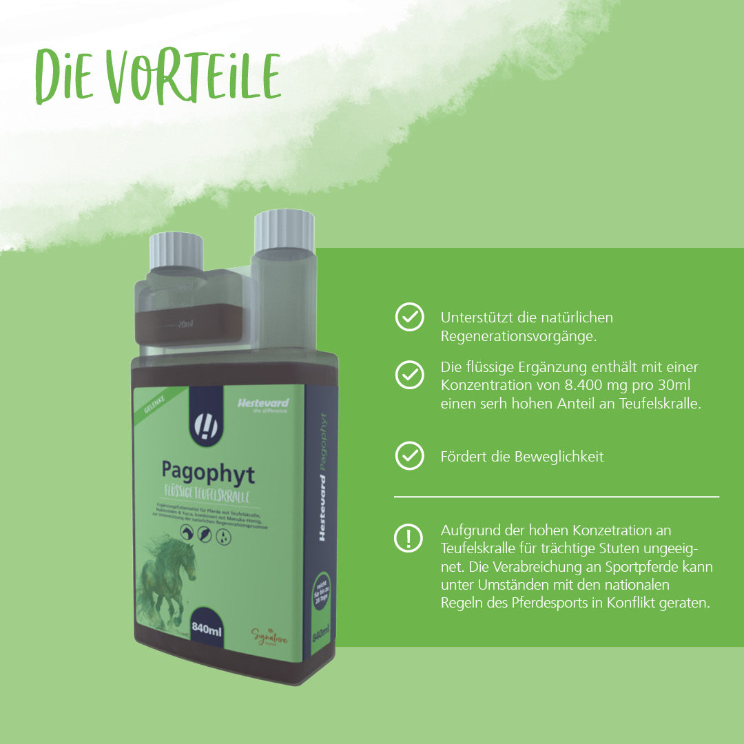 Hestevard Pagophyt - 840ml