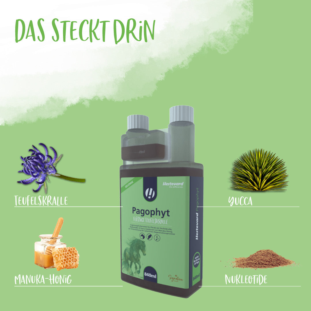 Hestevard Pagophyt - 840ml