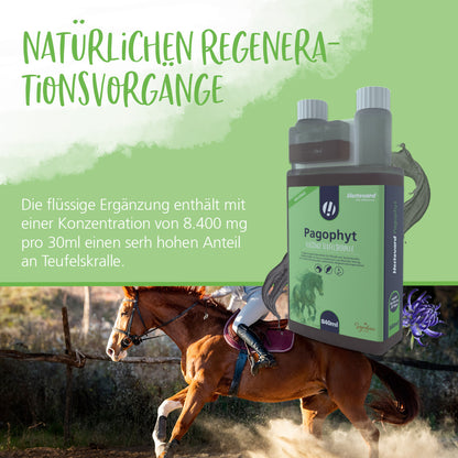Hestevard Pagophyt - 840ml
