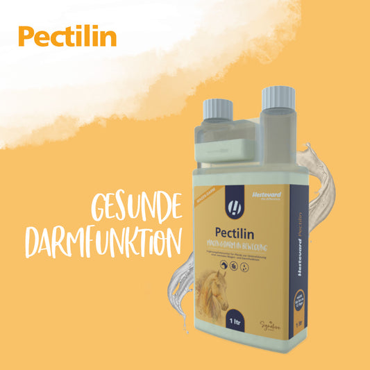 Hestevard Pectilin - 1L Flasche