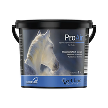 ProAir