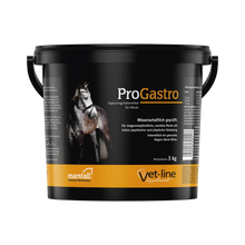 ProGastro