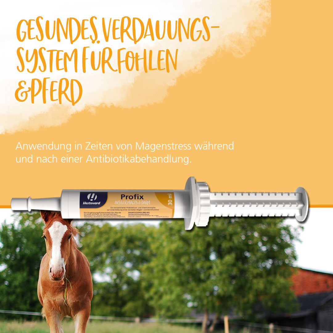 Hestevard Profix Paste - 30ml Spritze