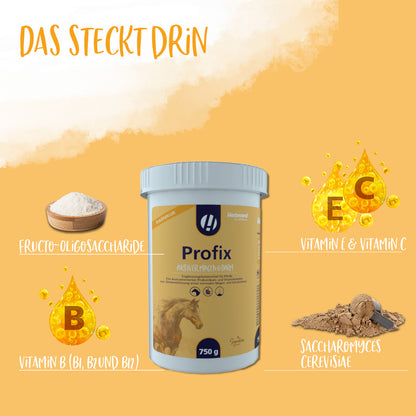 Hestevard Profix - 750g