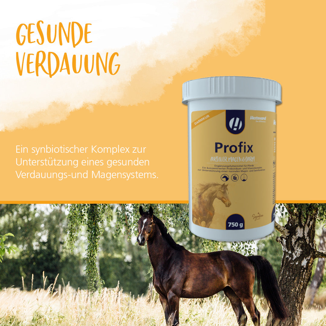 Hestevard Profix - 750g