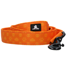 Spotted! Pro Perfect Leash 120 cm Orange