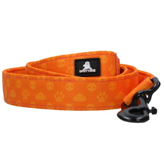 Spotted! Pro Perfect Leash 120 cm Orange *