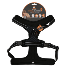 Spotted! Pro No Pull Harnas Dunkelgrau XL