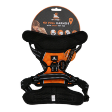 Spotted! Pro No Pull Harnas Orange XS