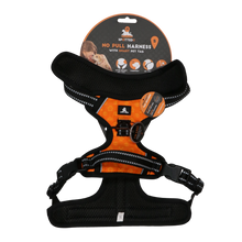 Spotted! Pro No Pull Harnas Orange S