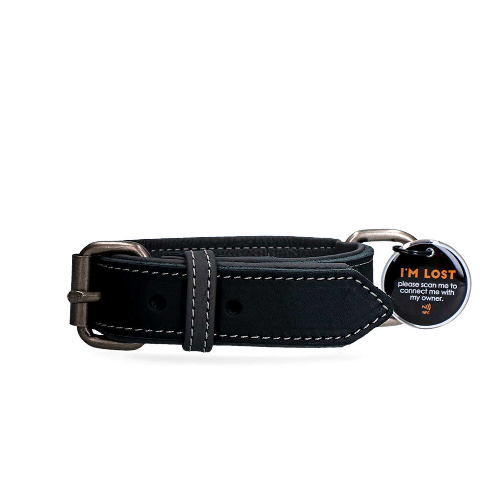 Spotted! Pro Lederhalsband Schwarz 2,5 x 45 cm *