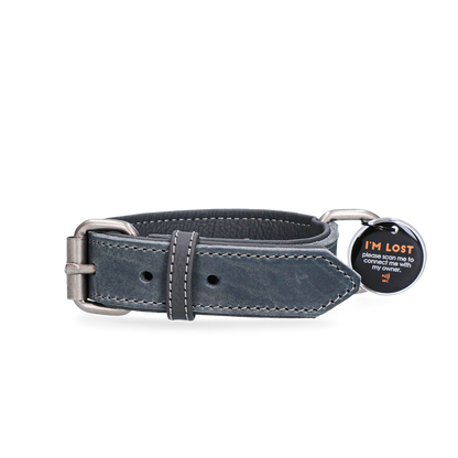 Spotted! Pro Lederhalsband Grau 2,5x40cm *