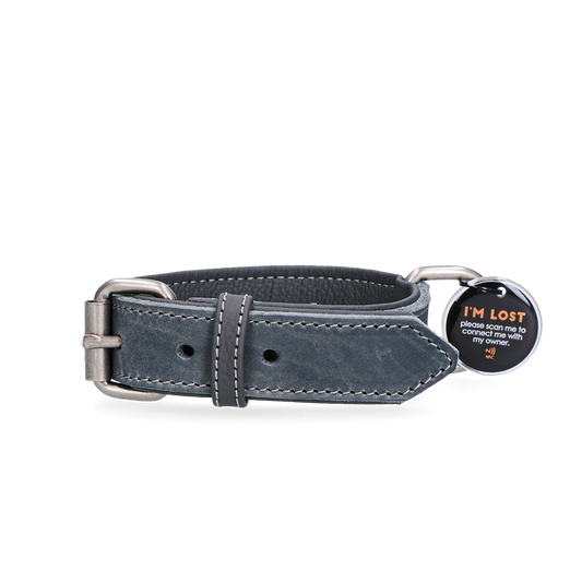 Spotted! Pro Lederhalsband Grau 2,5 x 50 cm *