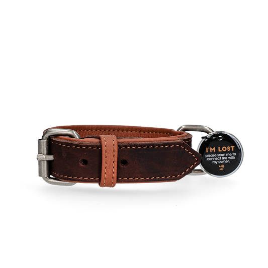 Spotted! Pro Lederhalsband Braun 2,5 x 50 cm *