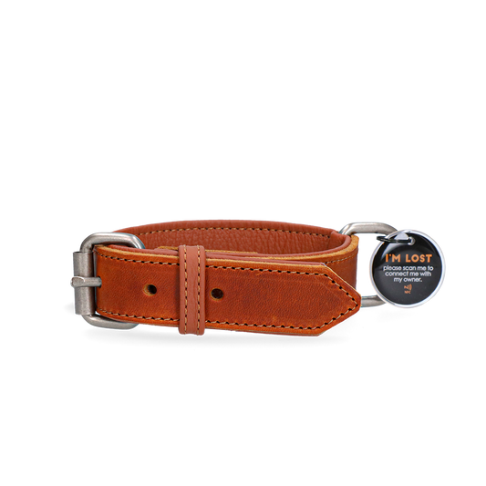 Spotted! Pro Lederhalsband Cognac 2,5 x 50 cm *