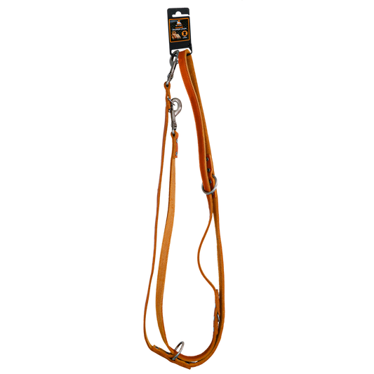 Spotted! Pro Leder Trainingsleine Cognac 1,6 x 250 cm *