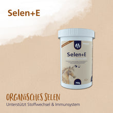 Hestevard Selen + E – Antioxidativer Zellschutz für Pferde