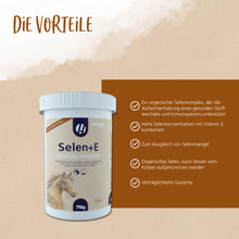 Hestevard Selen + E – Antioxidativer Zellschutz für Pferde
