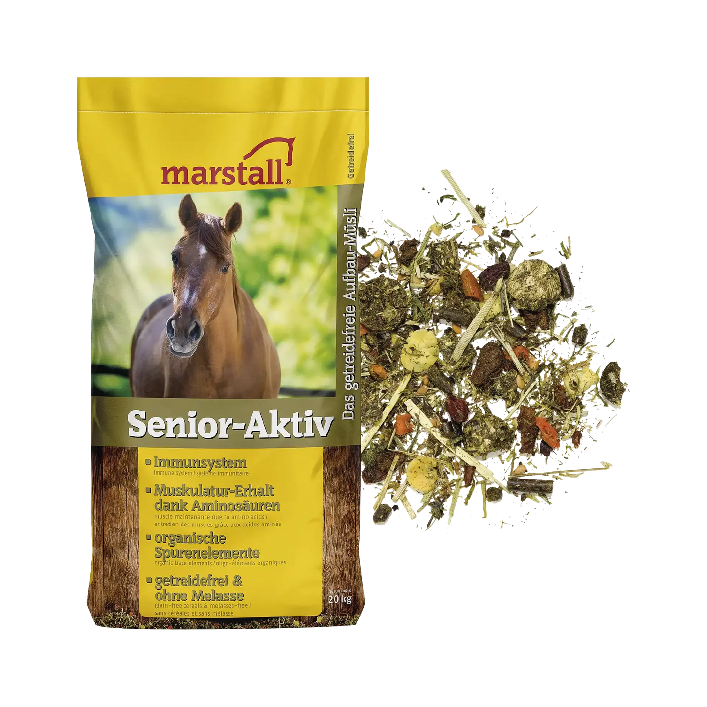 Senior-Aktiv