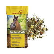 Senior-Aktiv