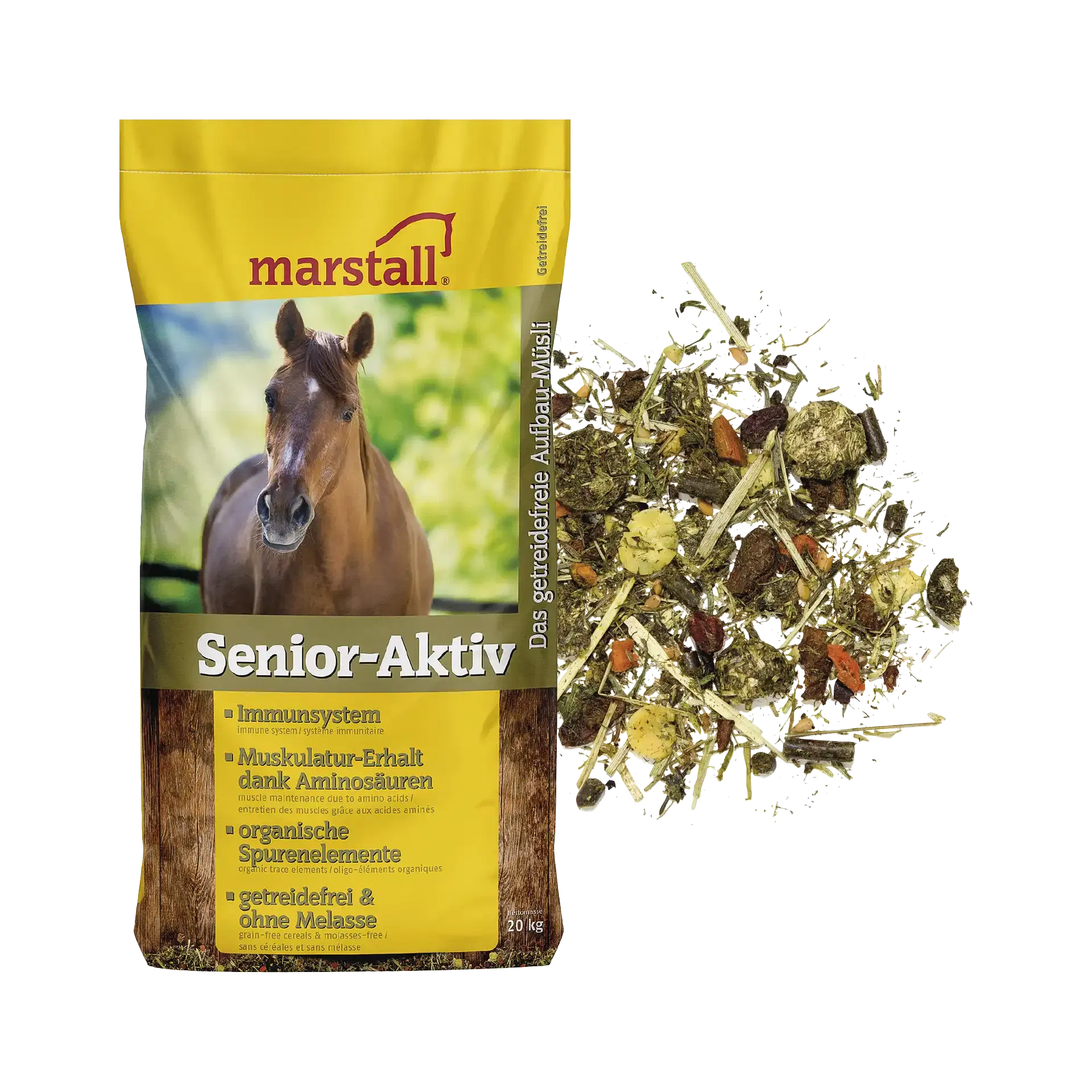 Senior-Aktiv