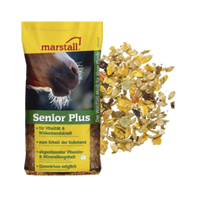 Senior-Plus