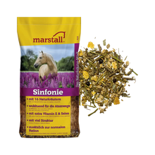 Sinfonie
