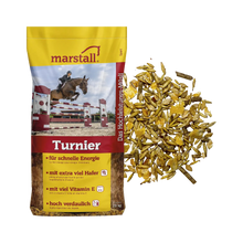 Turnier