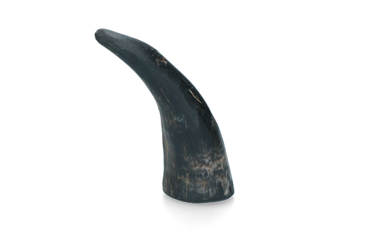 Viking Horn Whole L