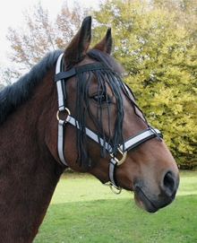 Fliegen-Fransenband Pony