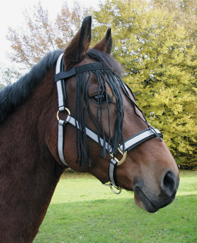 Fliegen-Fransenband Pony