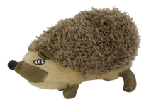 Wild Life Dog Igel