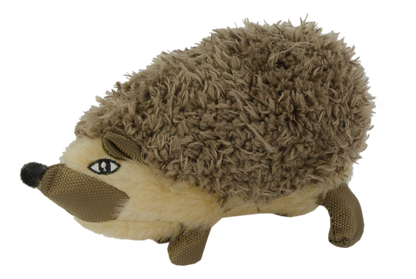 Wild Life Dog Igel