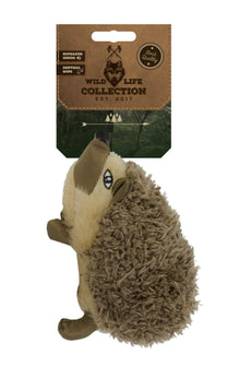 Wild Life Dog Igel