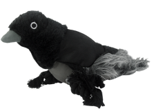 Wild Life Dog Rabe