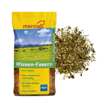 Wiesen-Fasern