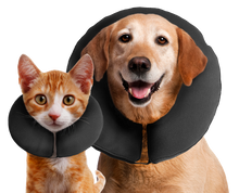Zenpet ProCollar M *