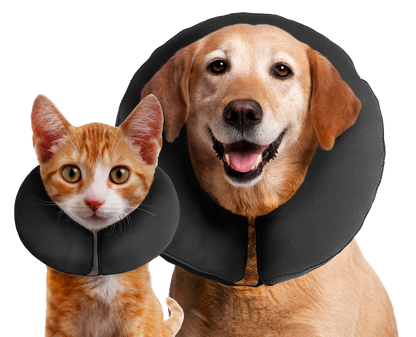 Zenpet ProCollar M *