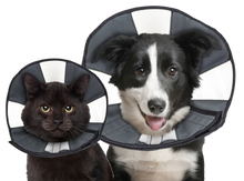 Zenpet Procone S *