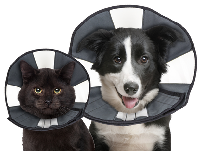 Zenpet Procone S *
