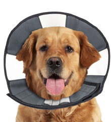 Zenpet Procone XL *
