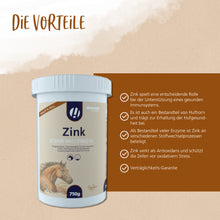 Hestevard Zink – Hochwertige Zinkquelle zur Unterstützung von Haut, Fell & Immunsystem