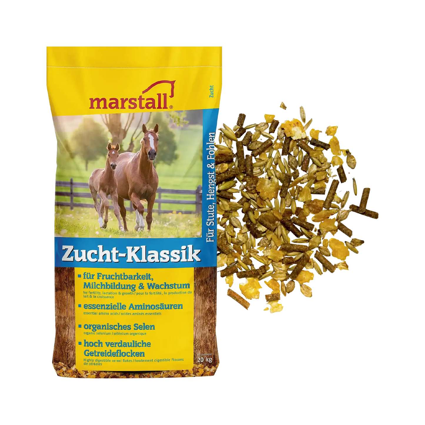Zucht-Klassik