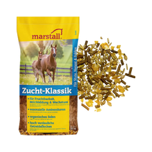 Zucht-Klassik
