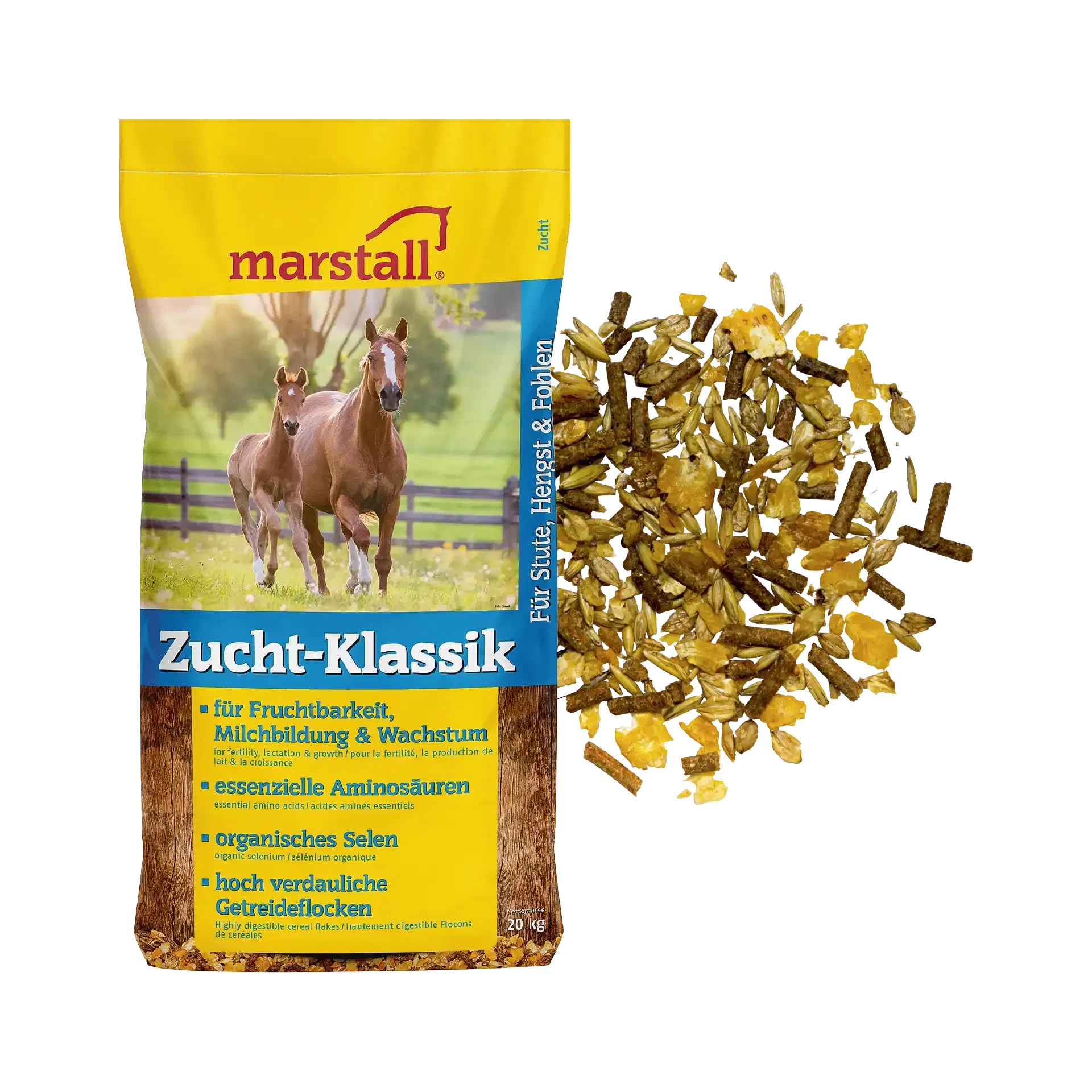 Zucht-Klassik