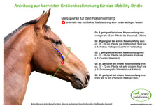 Mobility Bridle